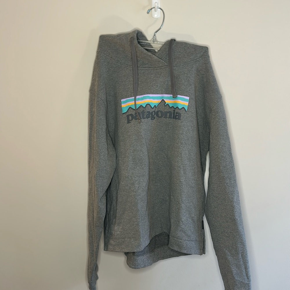 patagonia hoodie
